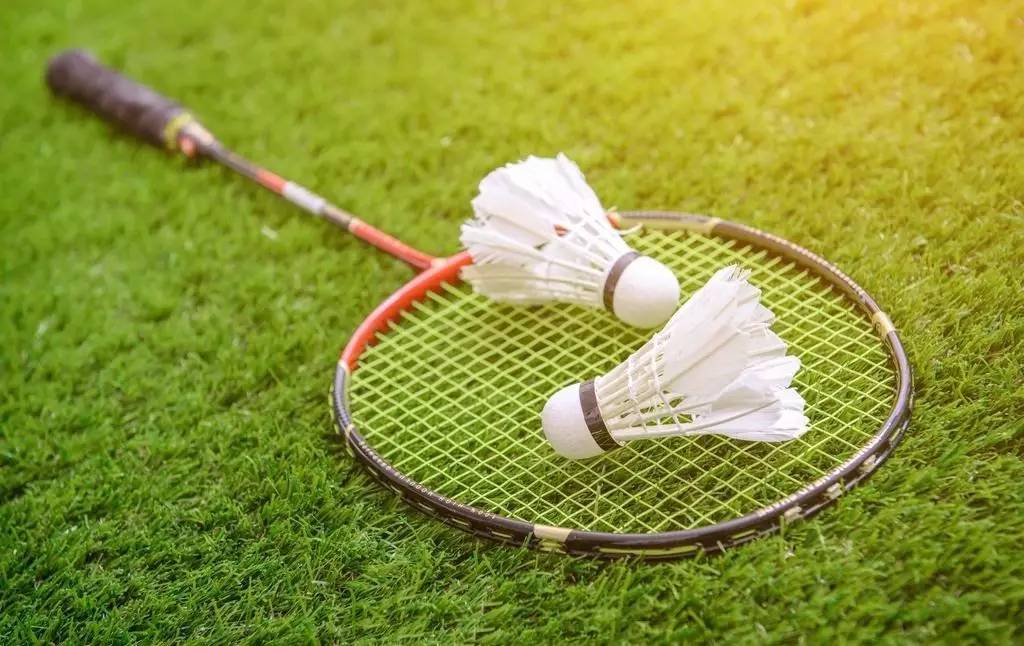 邮报：纽卡签两名中锋才可能放走伊萨克，但现在一个也没签下