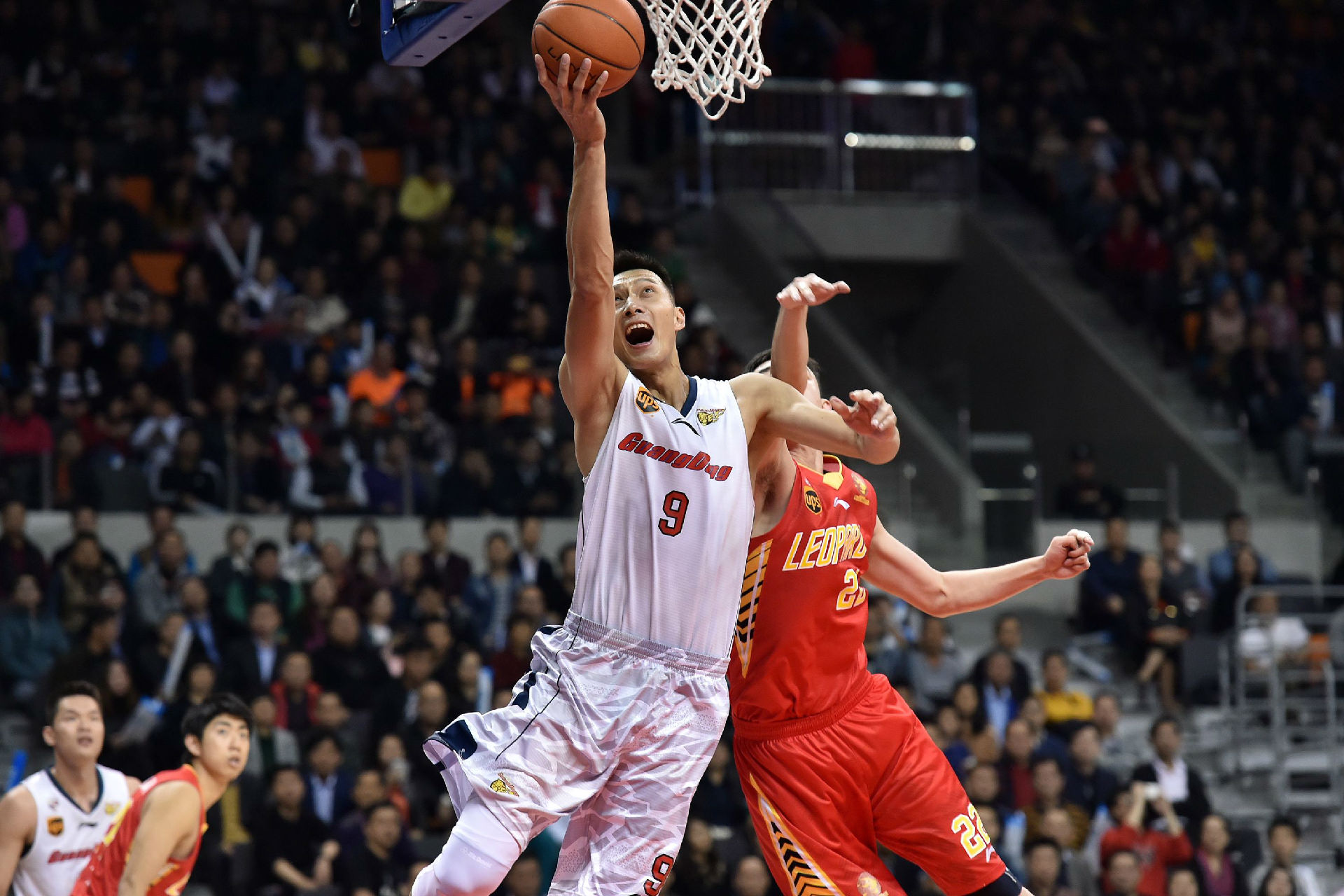 例已证明 例已证明